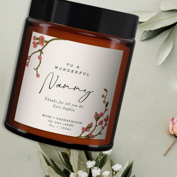 Wonderful Nanny